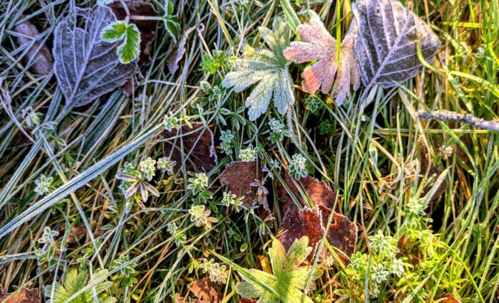 gaiakiri11-avafoto gaiakiri11-avafoto